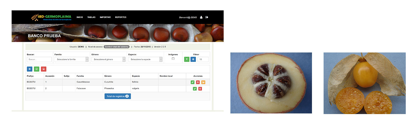 Sistema especializado para bancos de germoplasma